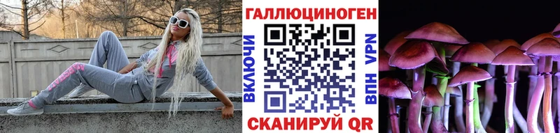 Галлюциногенные грибы мицелий  где найти наркотики  Шали 