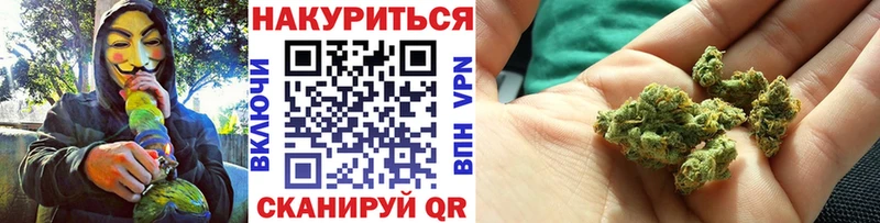 Каннабис семена  Шали 